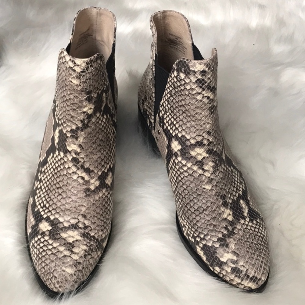 Steve Madden Cade Booties